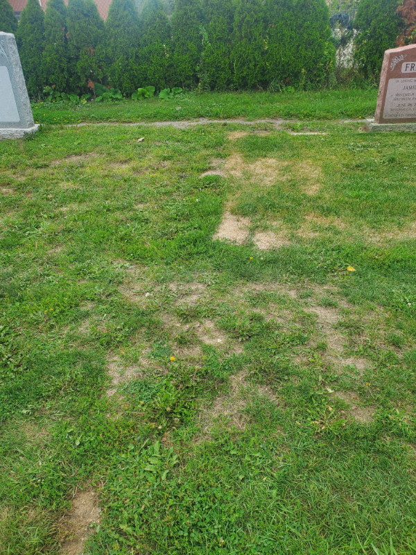 ST. JOHN'S DIXIE CEMETERY BURIAL PLOT FOR SALE in Other in Mississauga / Peel Region - Image 3