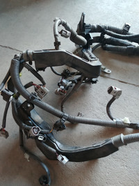 Fuel rail for 2017 Camry