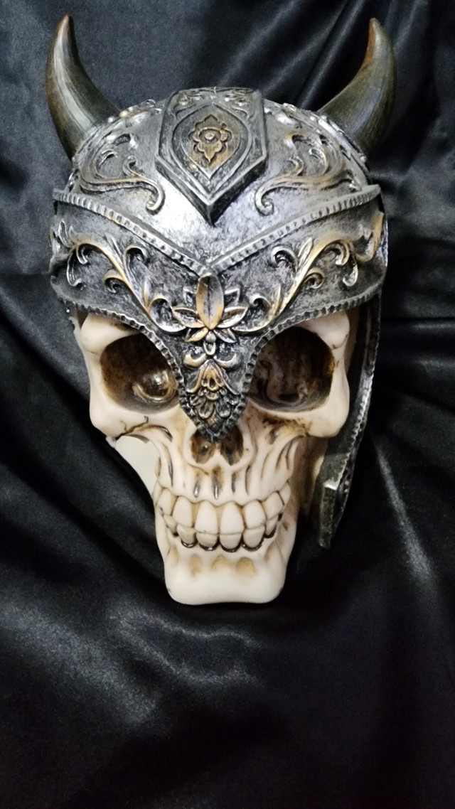 Damaged Viking Skull Ornament in Arts & Collectibles in Edmonton