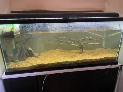 fish tank and stand 75g, View more