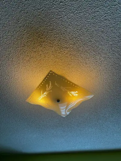 Decent condition, upgraded to new ceiling light, hence getting rid of it.