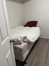 Room for Rent- Available immediately 