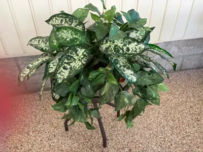 Decorative plant-artifical, View more