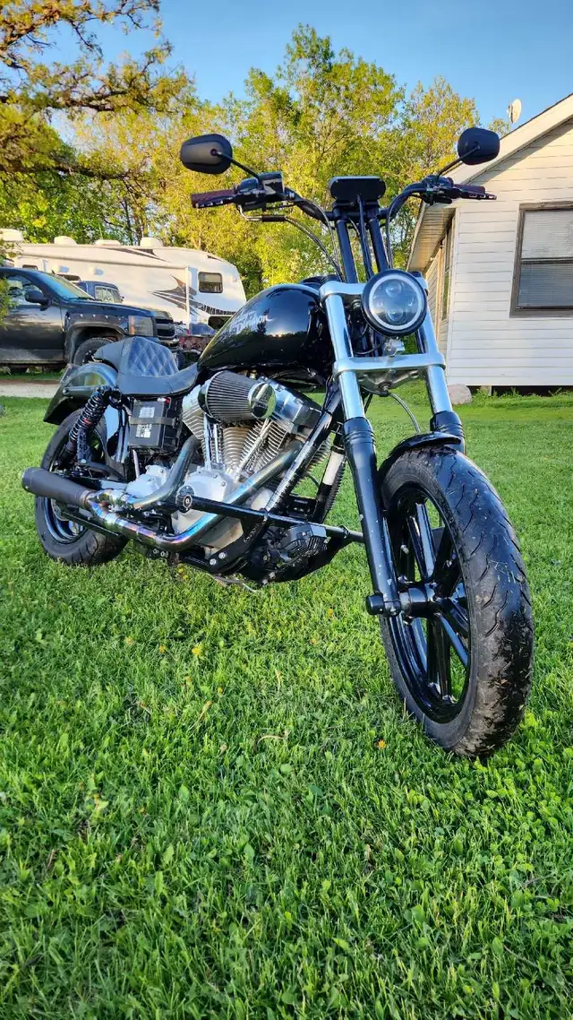 2009 harley Davidson dyna in Street, Cruisers & Choppers in Winnipeg - Image 4
