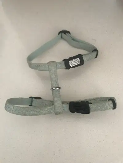 Accessoires pour chiens, View more