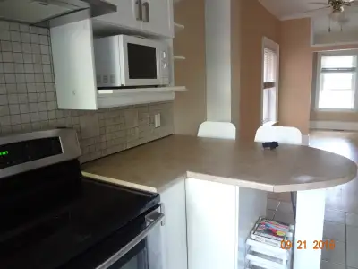 Bright 2 bedroom apt - downtown
