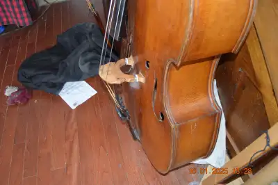 bass fiddle, View more