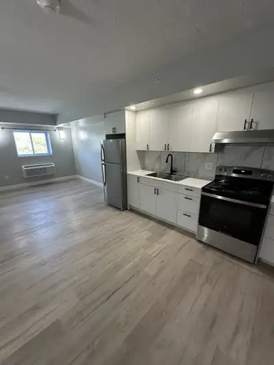 New one Bedroom available in November in Minnow Lake area. Stainless steel Fridge, Stove, parking, u...