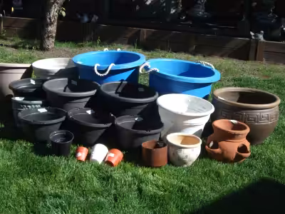 Have a selection of flower pots. Small to XL . Some are clay but most are plastic. Priced from .50 t...
