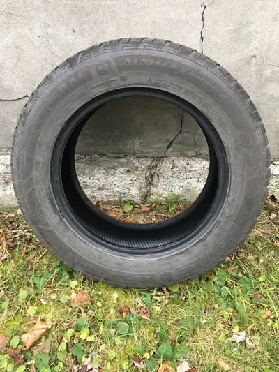 One winter tire, good for one more season or two. Can be used as summer or spare tire.