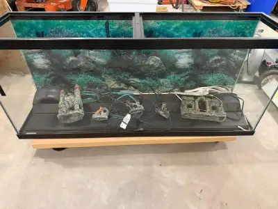 Aquarium + Accessories, View more