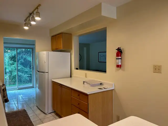 Summer Sublet – Private Spacious Basement Room in Room Rentals & Roommates in Guelph - Image 3