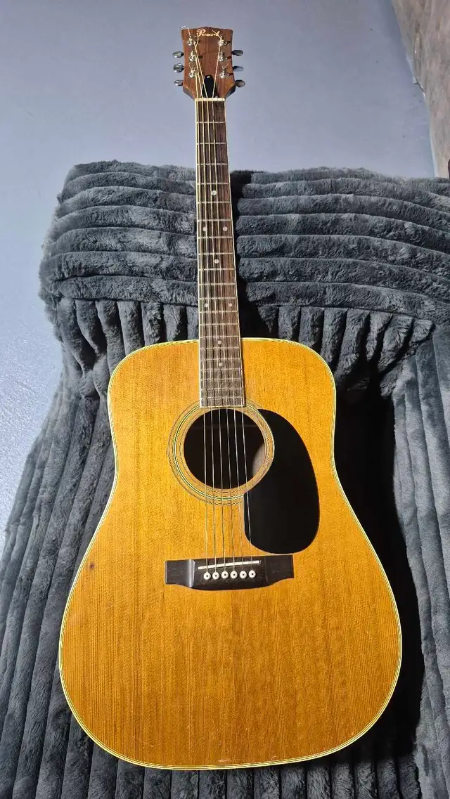 Semi Acoustic Guitar