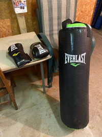Everlast bag  and gloves 
