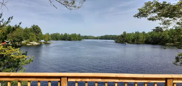 ►►AMAZING WATERFRONT COTTAGE - SWIM FISH RELAX HERE◄◄ in Ontario in Canada - Image 6