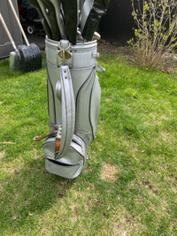 Sac et bâton de golf