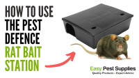 London Rats Mice Bait Boxes 226-792-1541 Rodents Control