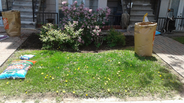 Overgrown garden ? Time to make it look sexy! in Lawnmowers & Leaf Blowers in City of Toronto - Image 3