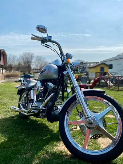 2002 Harley-Davidson Softail Deuce – Custom Steel Frame manufactured by MID USA – Sold Safetied $18,...