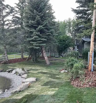 Sod laying/Removal Trees Mulch Gravel Deck building Fencing Backyard renovations Lawn maintenance &...