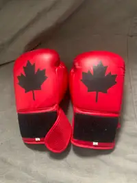 Boxing gloves 12 0z 