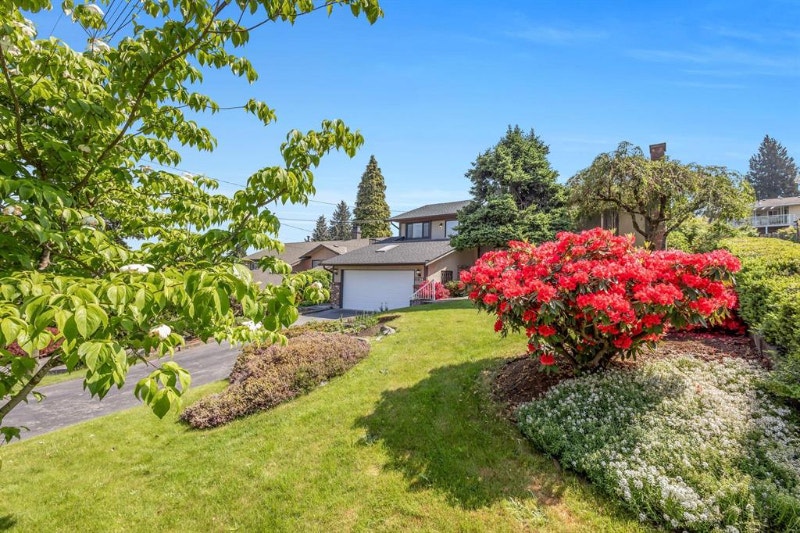 North Surrey 1 Bed 1 Bath 400sf Basement suite for rent Long Term