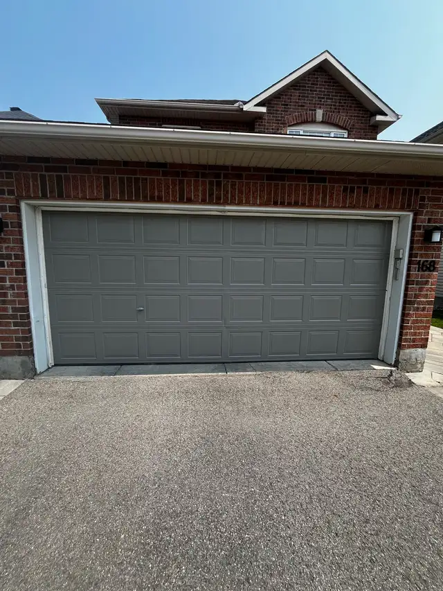 Professional Painter63235170608003124