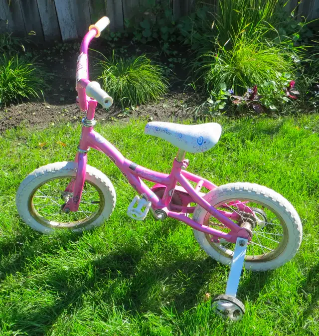 reduced CHILDREN'S BICYCLES - TRICYCLE in Kids in Saskatoon - Image 5