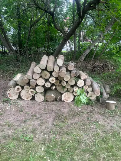 FREE Firewood (maple) for pickup, View more