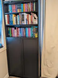 IKEA Billy Bookshelf 