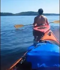 Freedom Canoe and Kayak RENTALS-Open! 