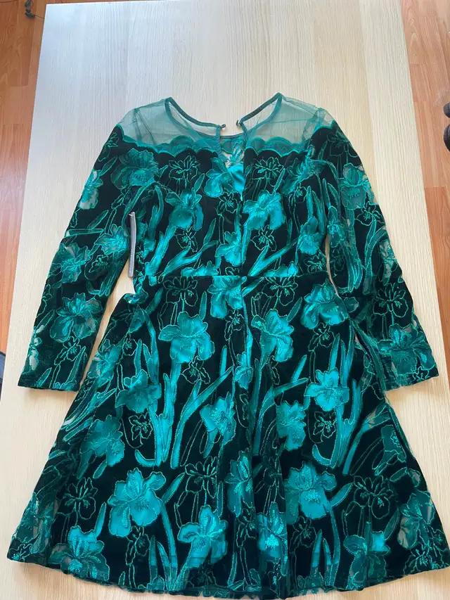 Eva Franco Anthropologie Lily Teal Velvet Mini Dress NWT