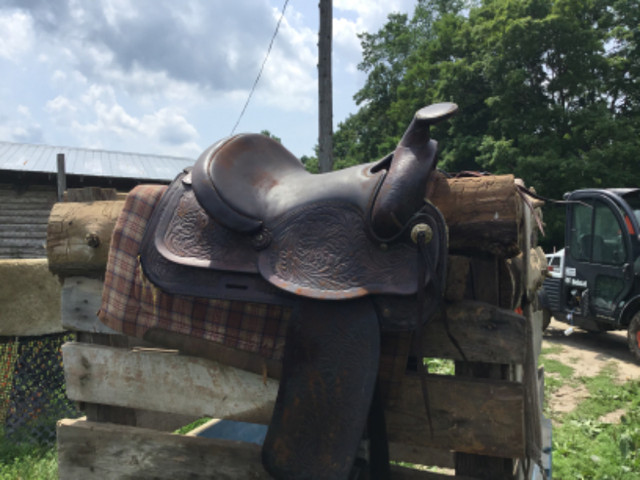 Horse saddle in Equestrian & Livestock Accessories in Belleville - Image 3
