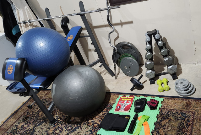 COMPLETE HOME GYM - Olympic style weights. cast iron dumbells. in Exercise Equipment in Kitchener / Waterloo