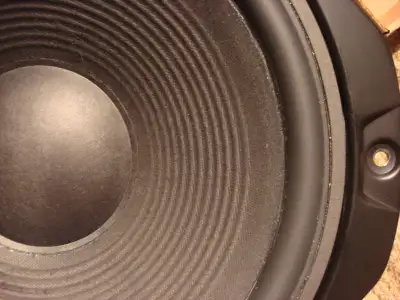 Pair of 12 inch woofer subwoofer drivers, View more