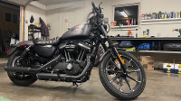 Price Drop - 2016 Harley Davidson Iron 883