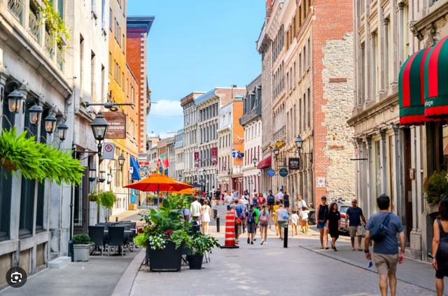 Experienced French Tutor Markham North York Richmond Hill