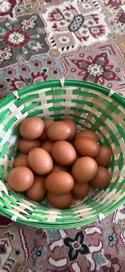 Fresh Farm Eggs, View more