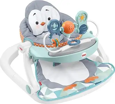 Used but in great condition. With Snack Tray and Removable Toy Bar. Chair folds up and is very porta...