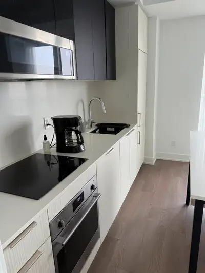 New Furnished Master BedRM in Executive Condo-Toronto’s Downtown