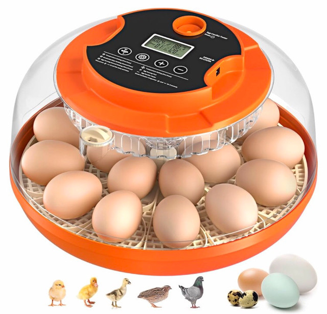 Nosju Egg Incubator with Automatic Egg Turning & Humidity Contro in Accessories in City of Toronto