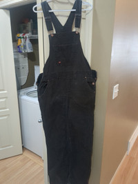 Dickies Ladies work overalls (size L)