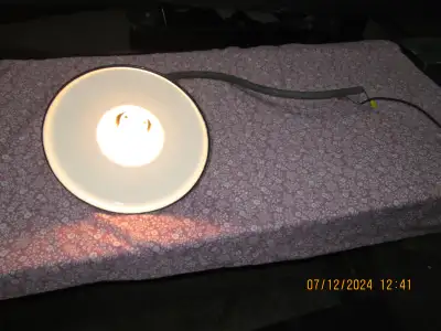 12'' porcelain light with gooseneck arm with NO chips in shade, View more