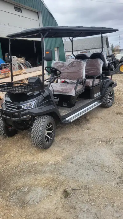 Model: CHLANCH 100 Brand New speedo does 35 km/hr back up camera wifi stereo lights 14"wheels 6 seat...