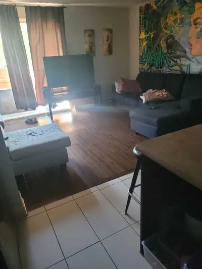 room to rent