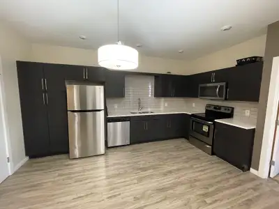 4 Bed 3 Bath for rent