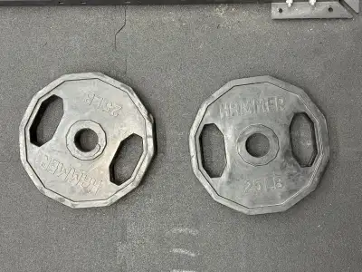Pair of 25lbs weight plates rubber coated , Voir plus