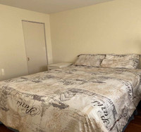 a spacious furnished bedroom close to Seneca college female only