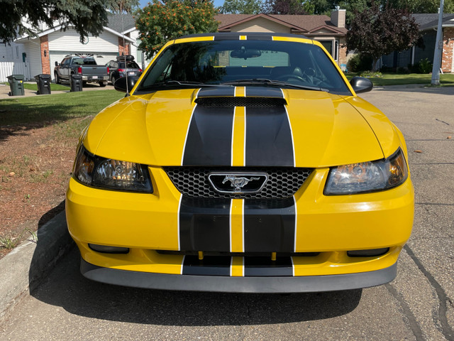 2004 Ford Mustang GT  in Classic Cars in Strathcona County - Image 3