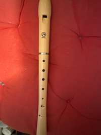 Flute instrument  recorder 